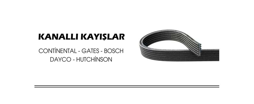 Continental - Gates - Dayco - Bosch Kayış